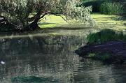 286-Delta del Danubio,7 agosto 2011